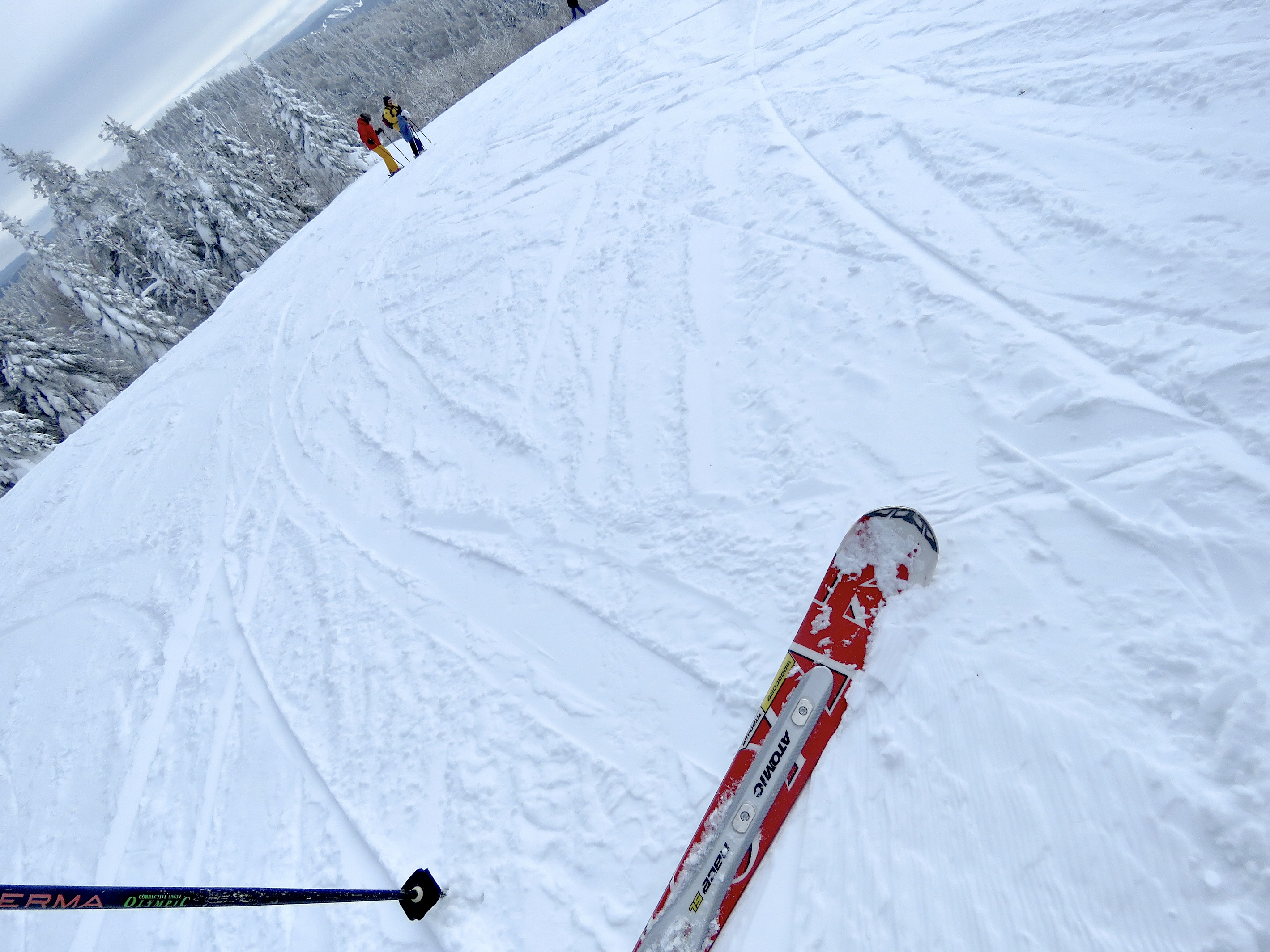 1.31.25.Soleil.Algonquin.Superb.Groomed.Smooth.Quality.c.jpg