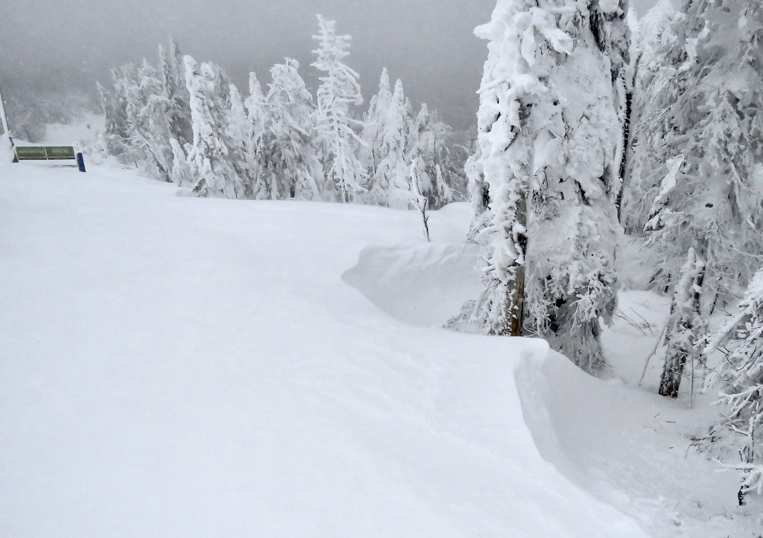 2.3.25.Ptit.Bonheur.Top.Ent.Trail.Side.Drift.Shape.Sample.d.jpg