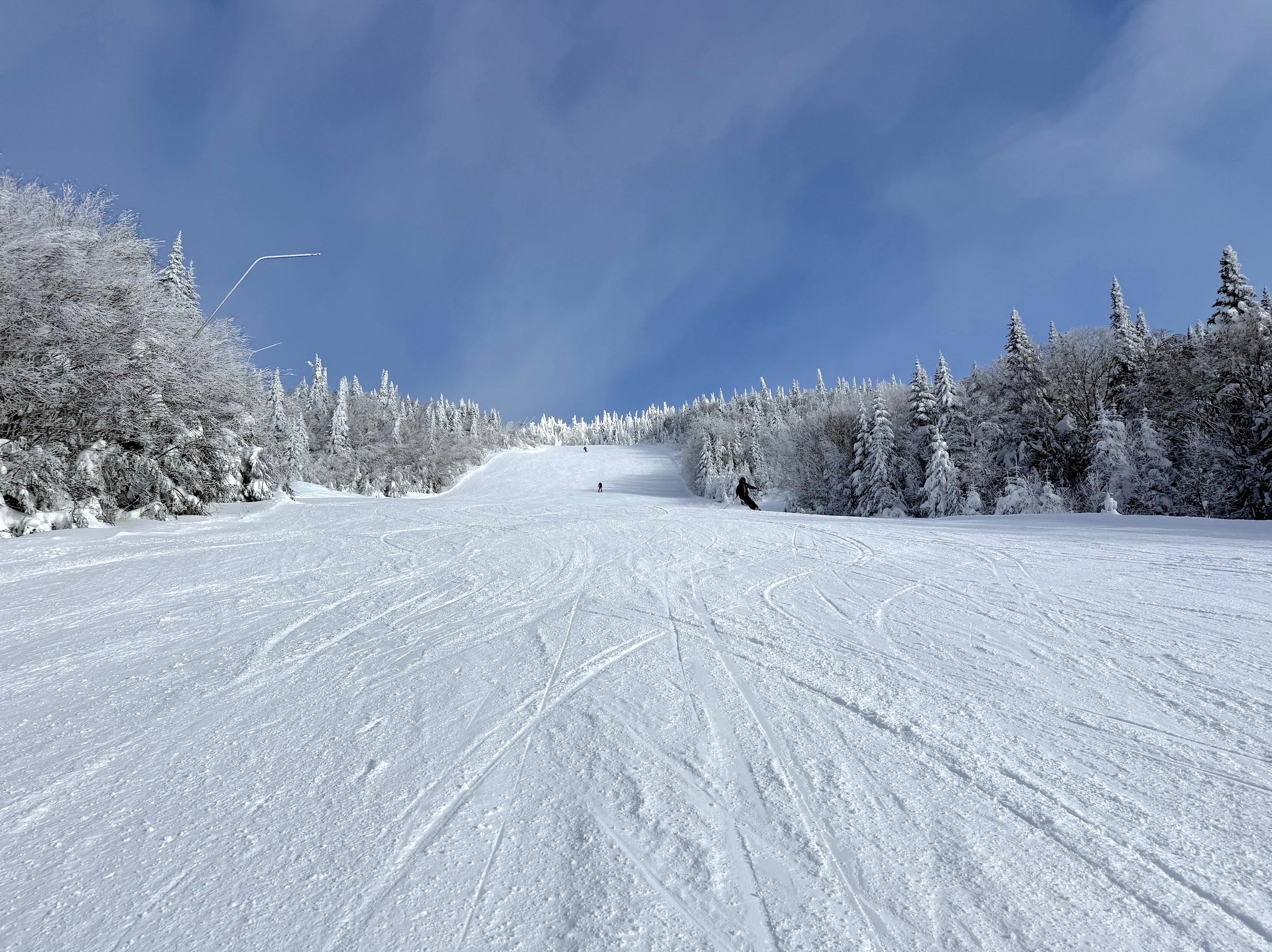 2.4.25.Nansen.Pitch.Haut.Upper.Immaculate.Grooming.c.jpg