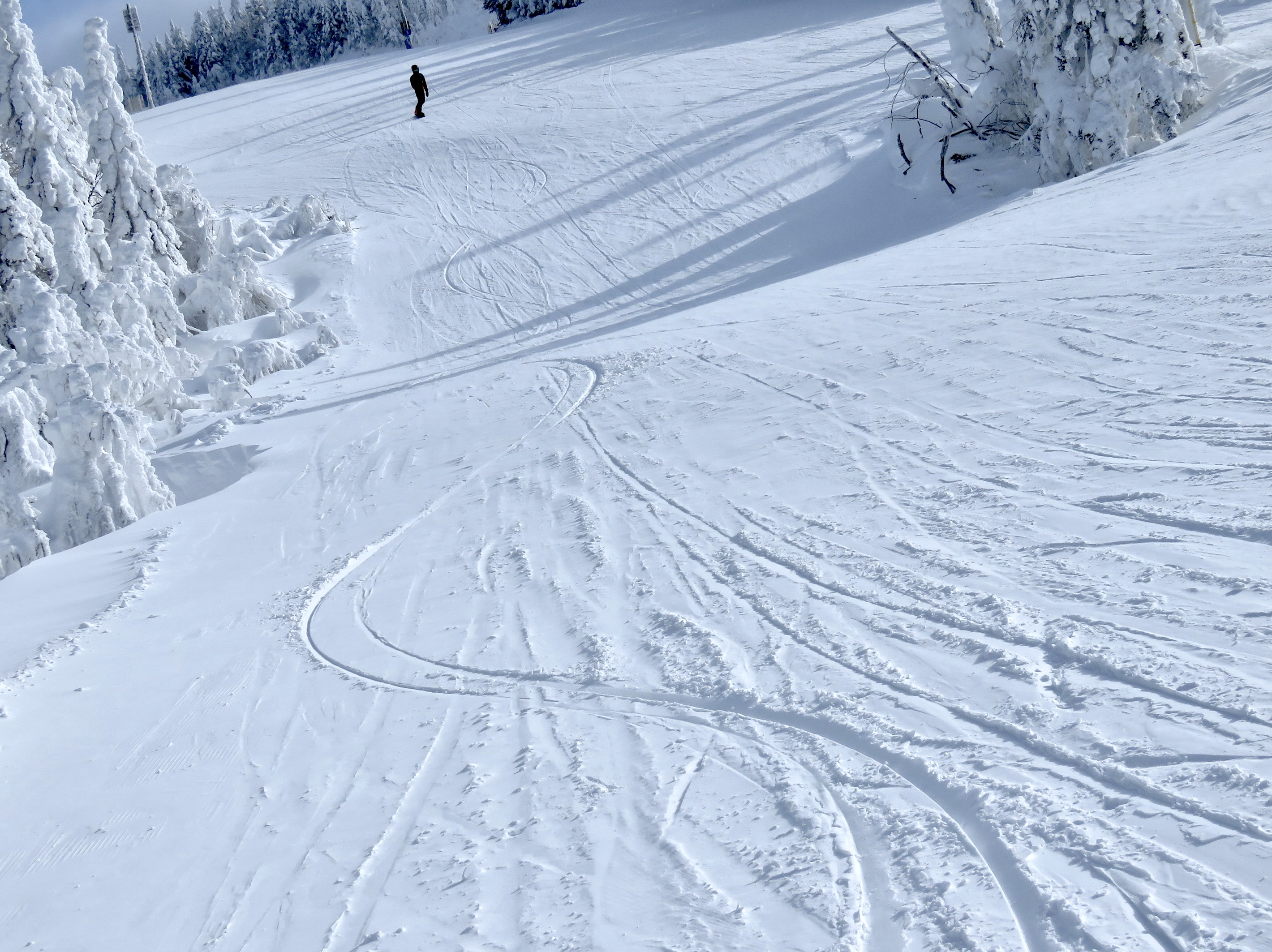 2.3.25.Carve.This.La.Crete.Above.Bon.Vivant.d.jpg