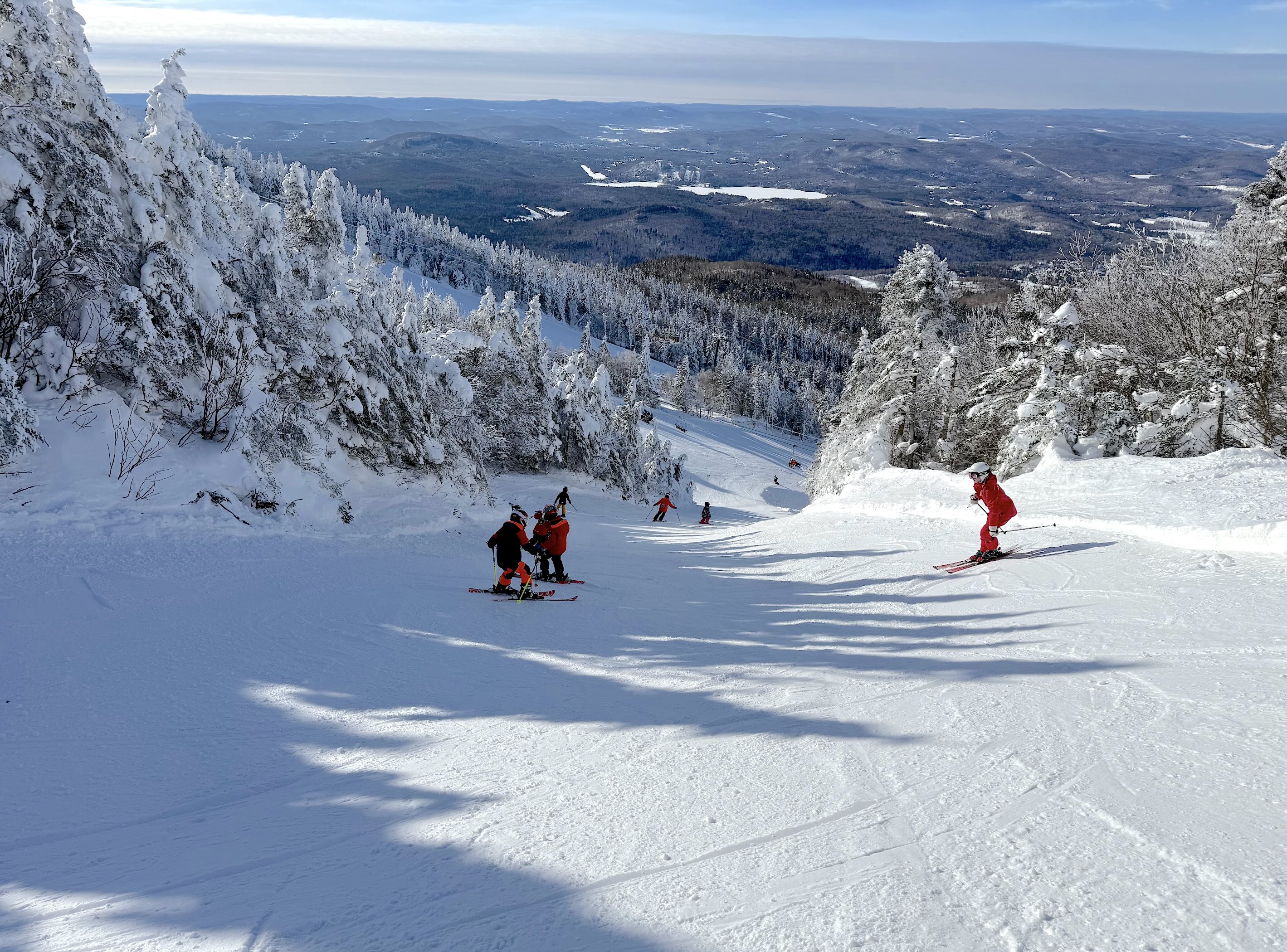 2.9.25.Sud.South.Dunzee.Groomed.c.jpg
