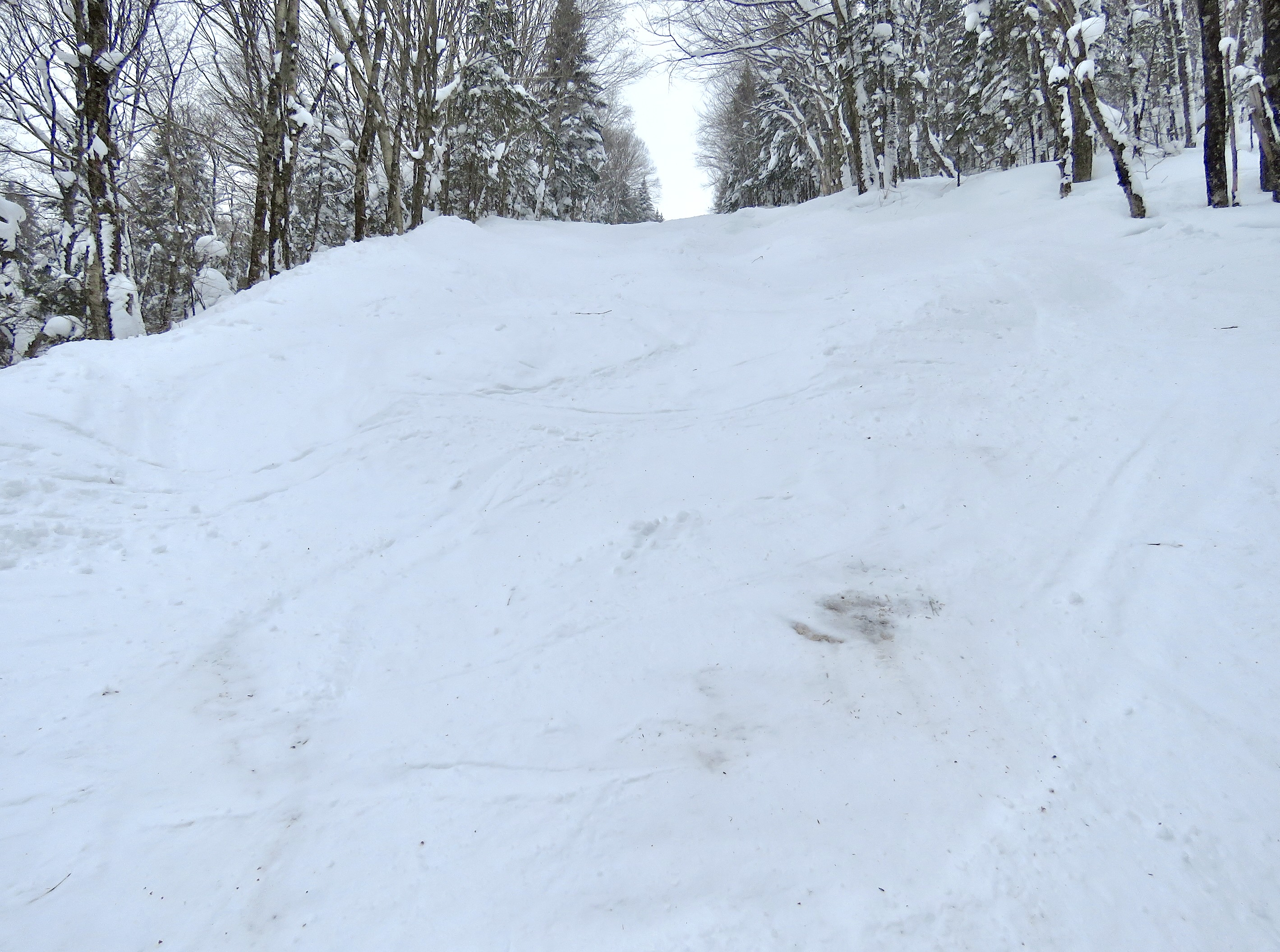 2.9.25.Nord.North.MArie.Claude.Asselin.Bas.Lower.Snow.Camo.Rock.Hazard.e.jpg