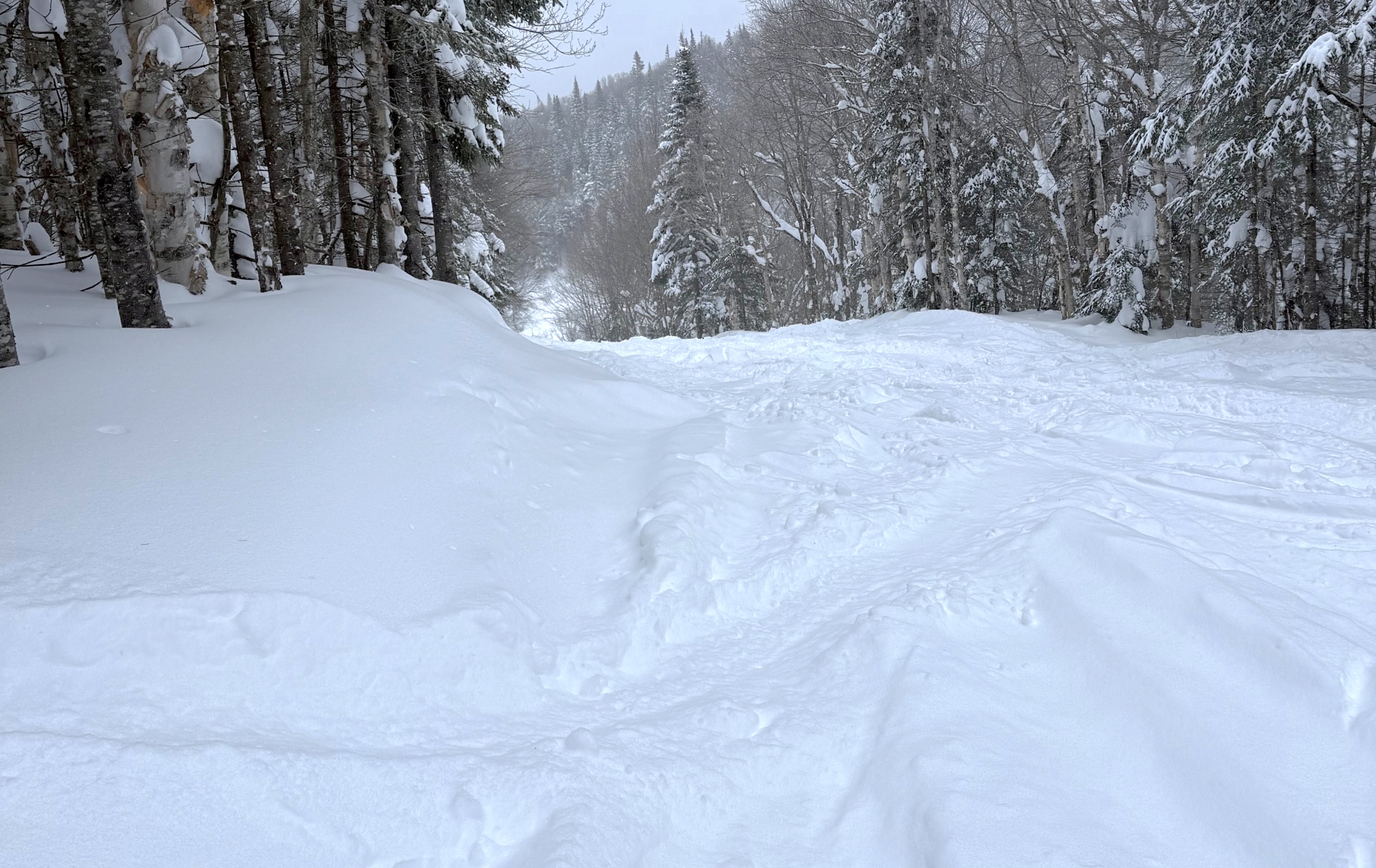 2.13.25.Nord.North.Marie.Claude.Asselin.Bas.Lower.Mega.Snowd.In.Over.Yesterday.Groomed.Perfect.d.jpg