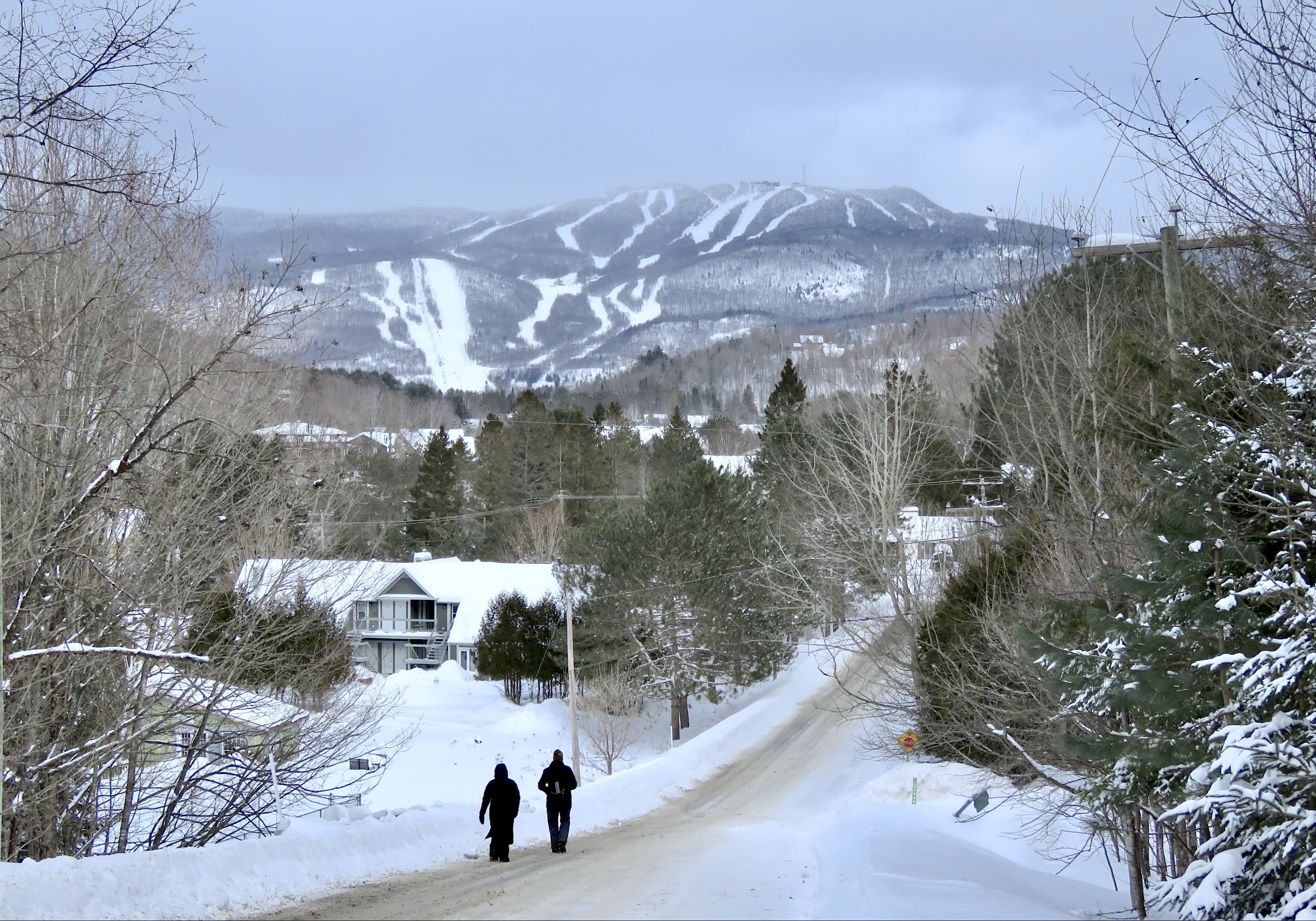 2.17.25.Old.Mt.T.Village.Hillside.Views.Mt.T.d.jpg