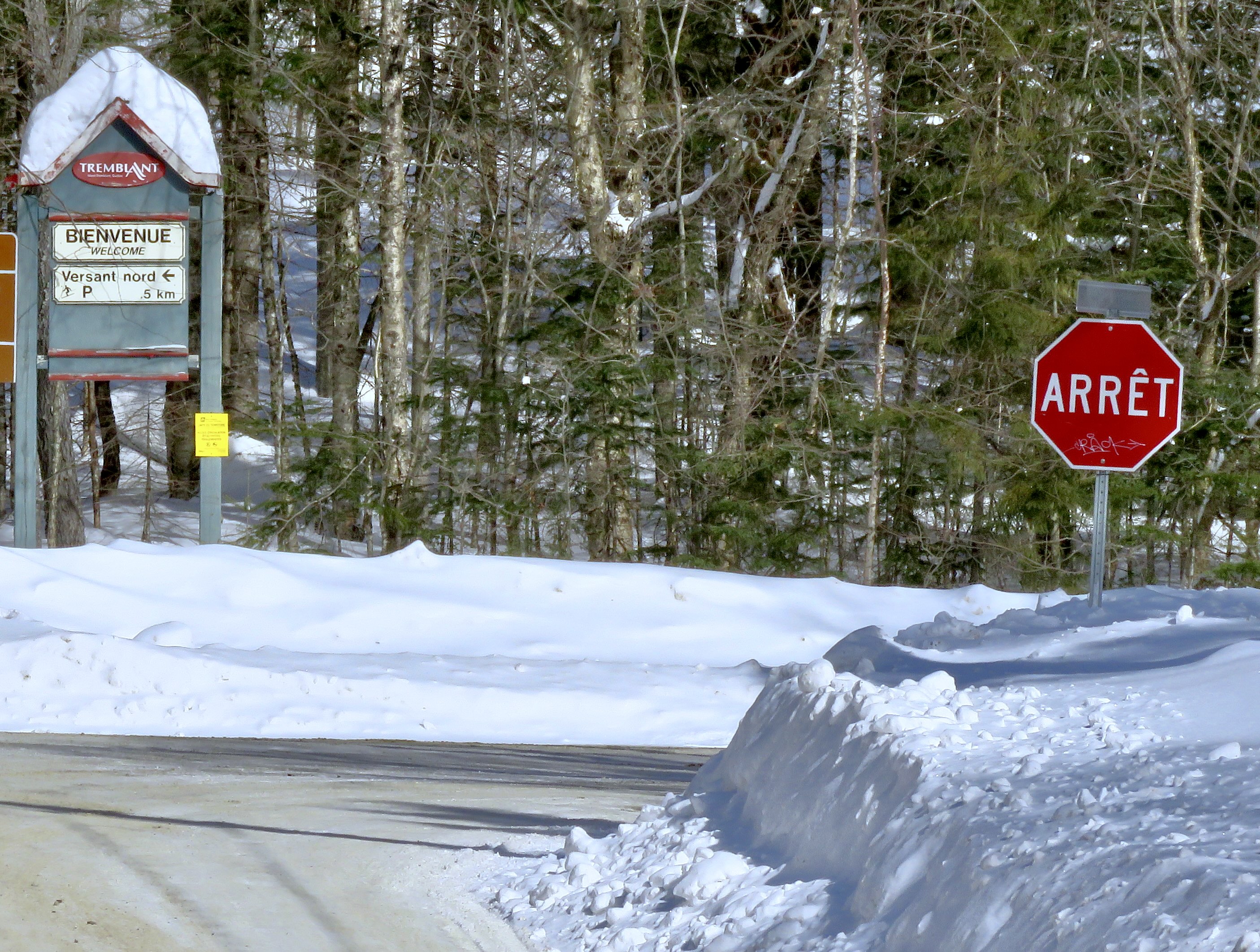 2.19.25.Signs.Say.Stop.n.Go.Skiing.T.Nord.North.c.jpg