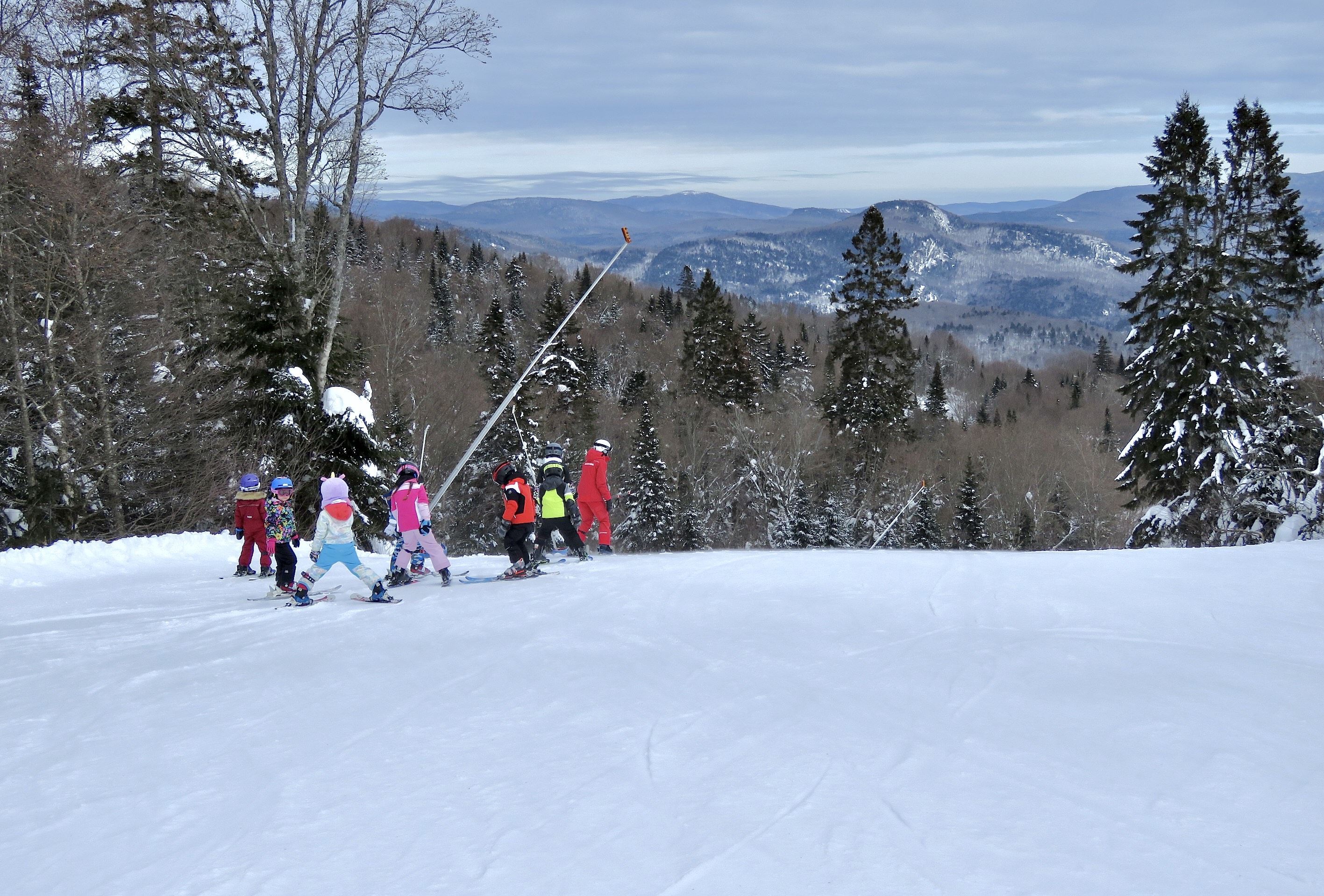 2.19.25.Nord.North.Ptit.Bonheur.First.Class.Groomed.Excellence.d.jpg