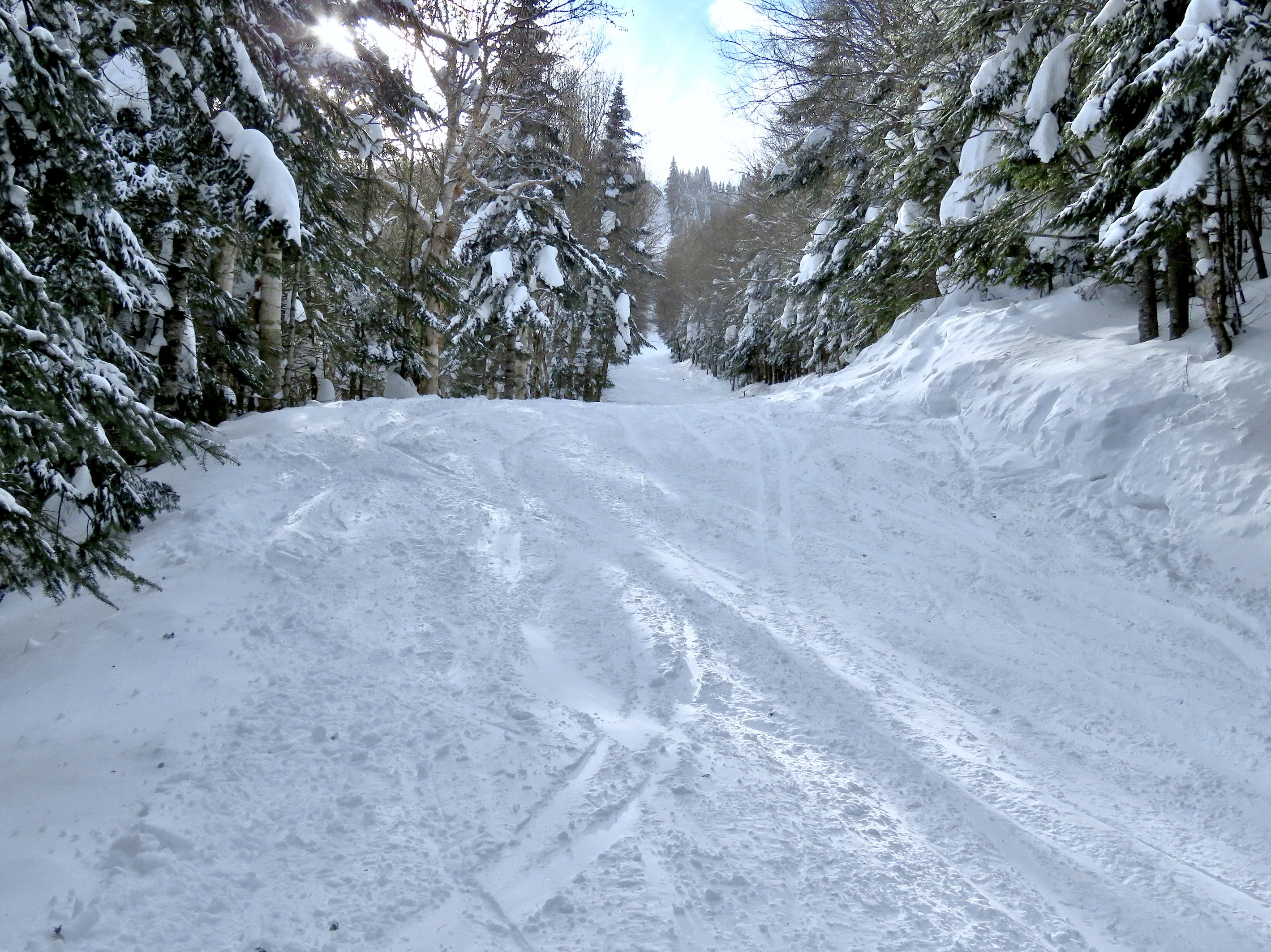 2.19.25.Nord.North.Marie.Claude.Asselin.Bas.Lower.Recent.Groomed.Easy.Sweetness.c.jpg