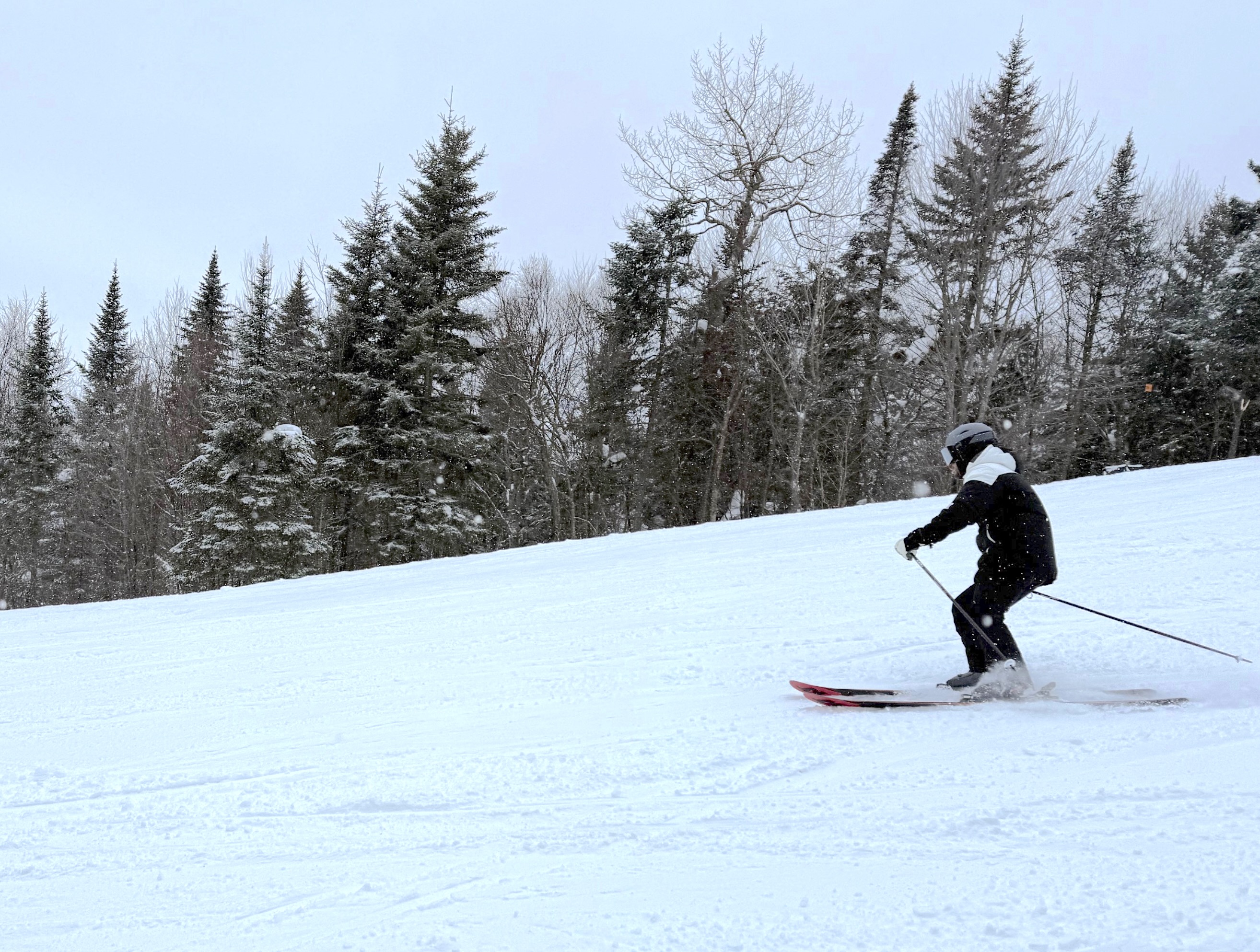 3.1.25.Soleil.Algonquin.Smooth.Sweet.Snow.e.jpg
