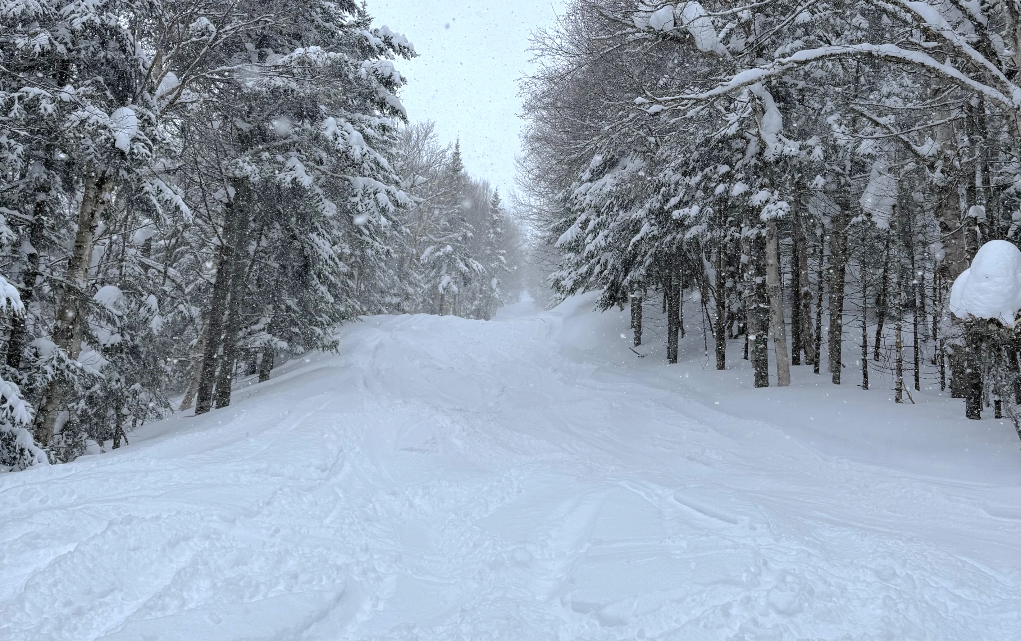 3.4.25.Nord.North.Marie.Claude.Asselin.Spectacular.Natural.Beauty.Experts.Snowy.Fun.PB31.d.jpg