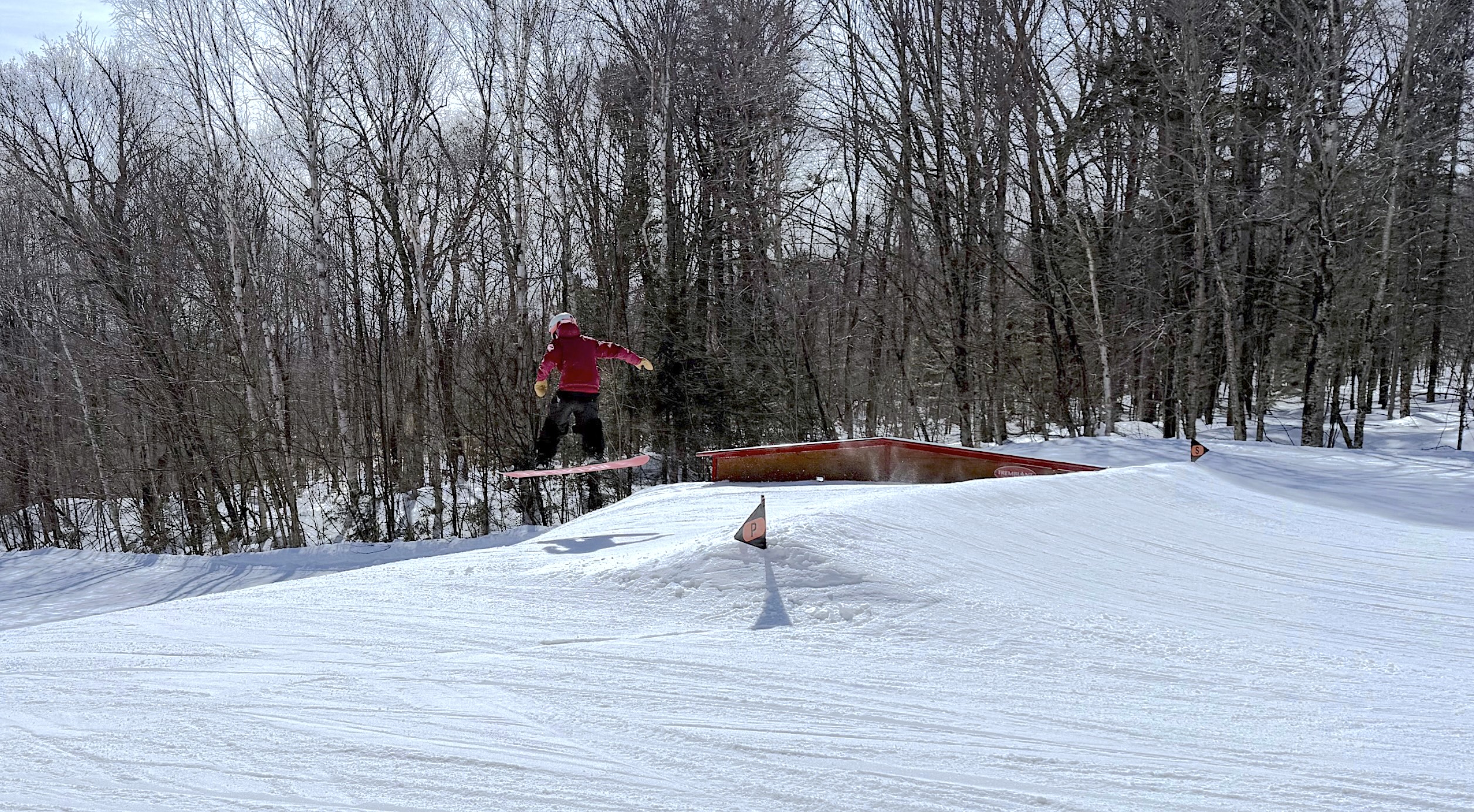 3.13.25.Nord.North.Sissy.Schuss.Bas.Lower.Park.Module.Review.Sample.e.jpg