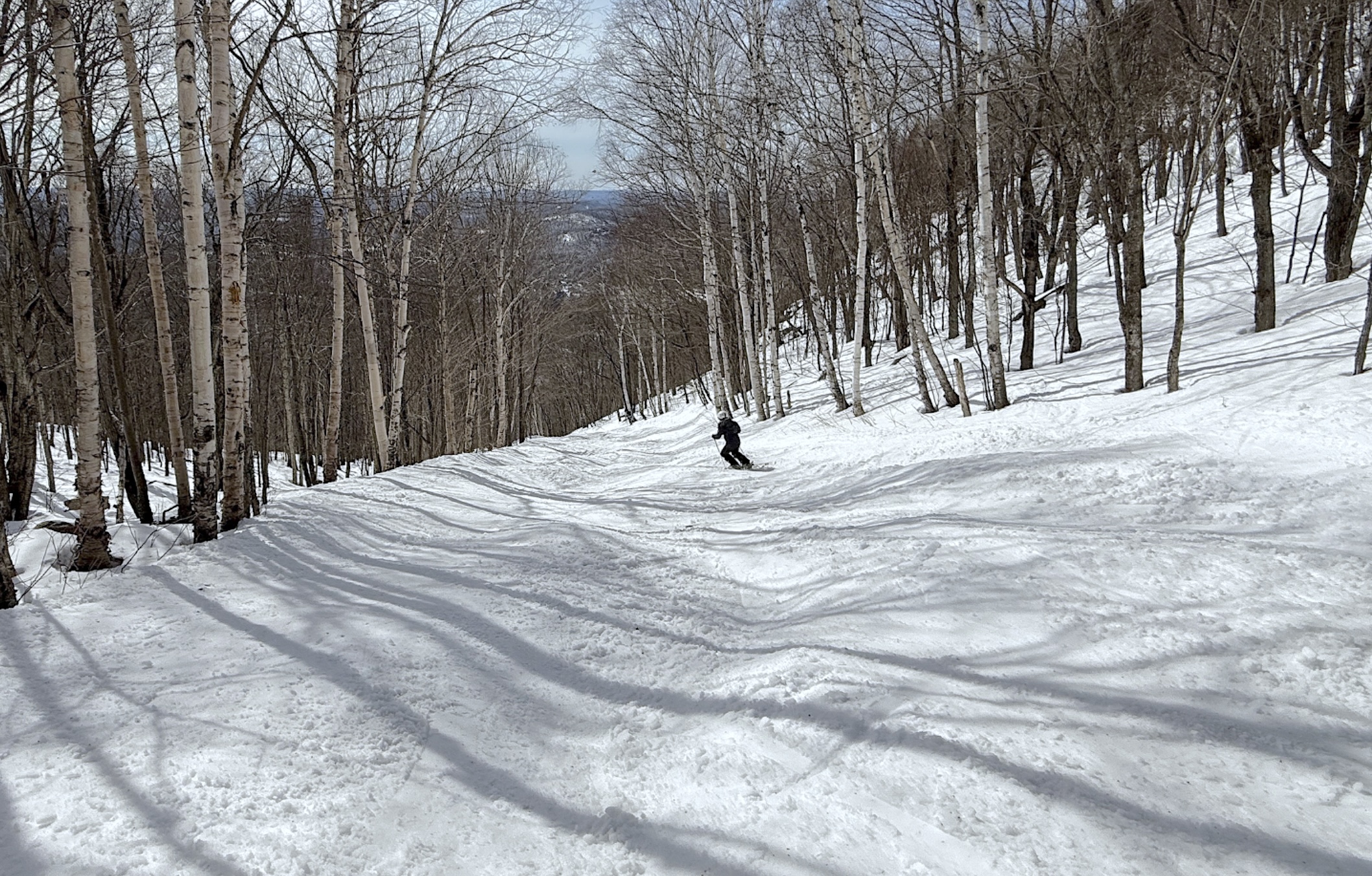 3.14.25.Sud.South.Ryan.Bas.Lower.Full.Spring.CP.Pic.File.c.jpg