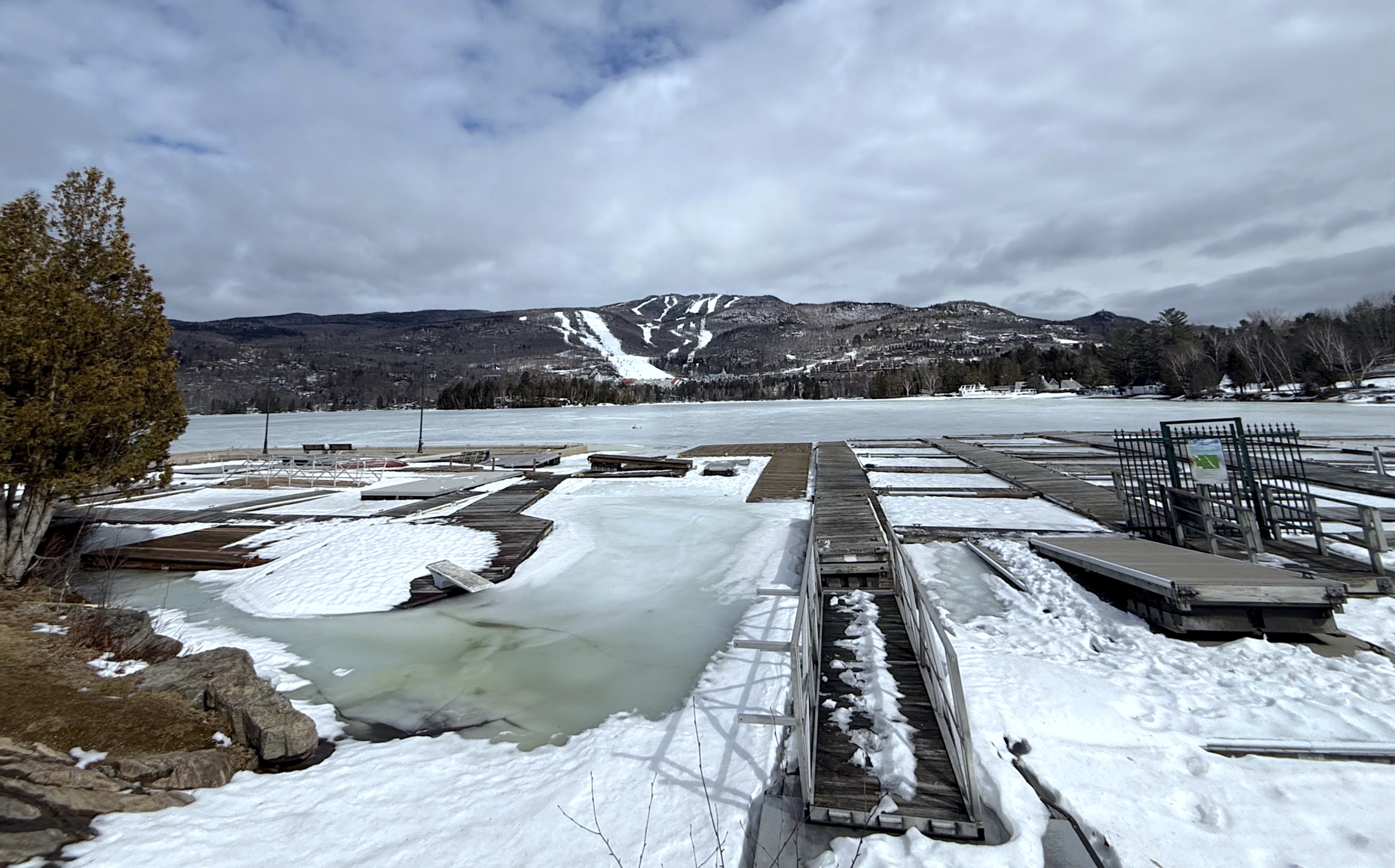 3.17.25.Lac.T.Views.Mt.T.c.jpg