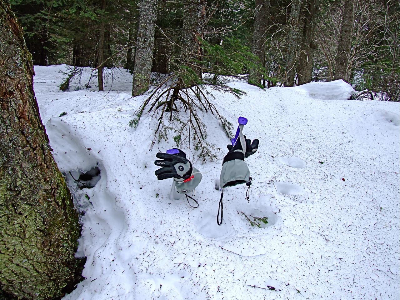 www.tremblant360.com photo. All rights reserved.