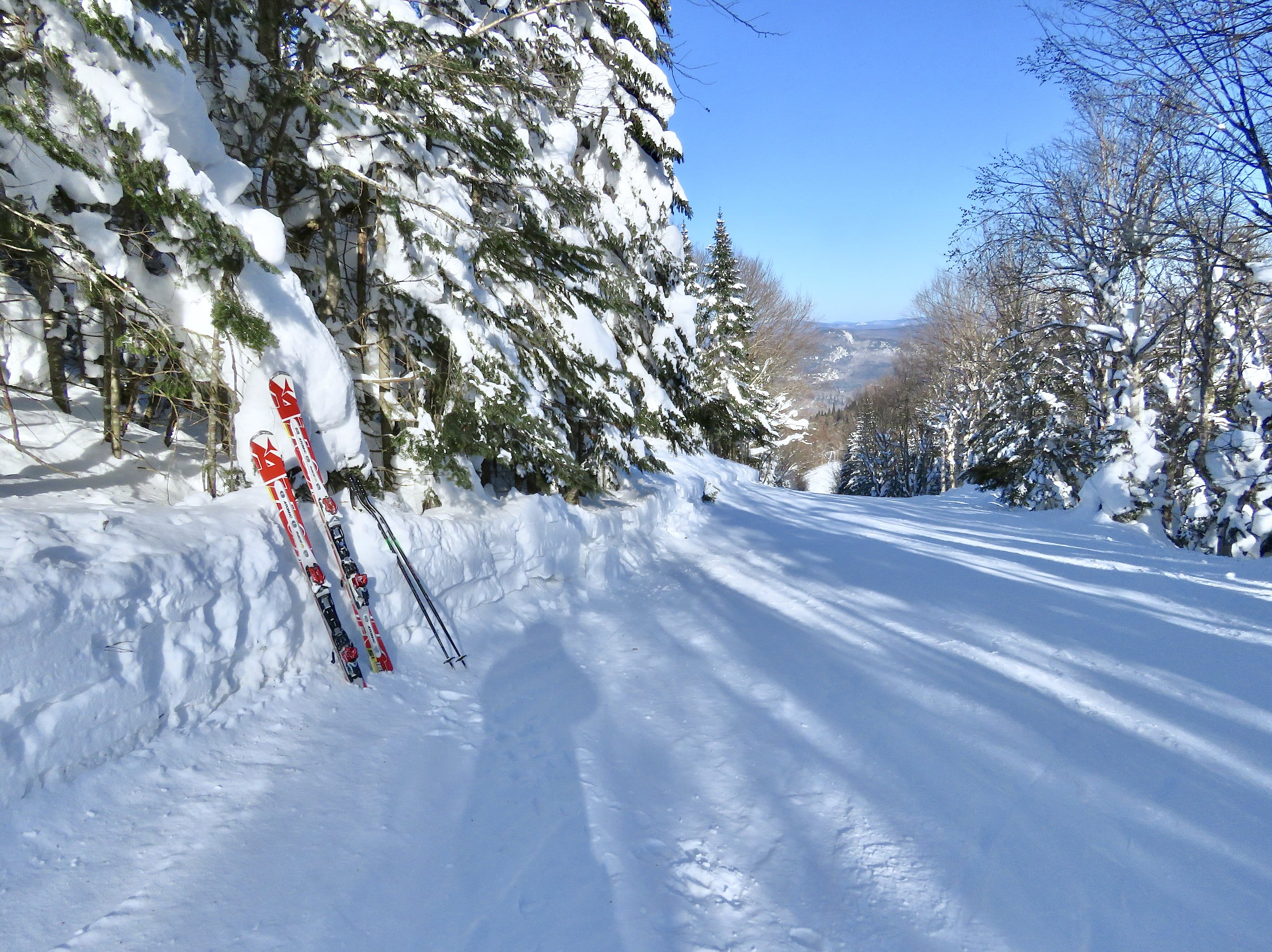 2.12.25.Nord.North.Banzai.Bas.Lower.Groomed.Near.Flawless.With.1.Meter.Trail.Side.Harvest.c.jpg