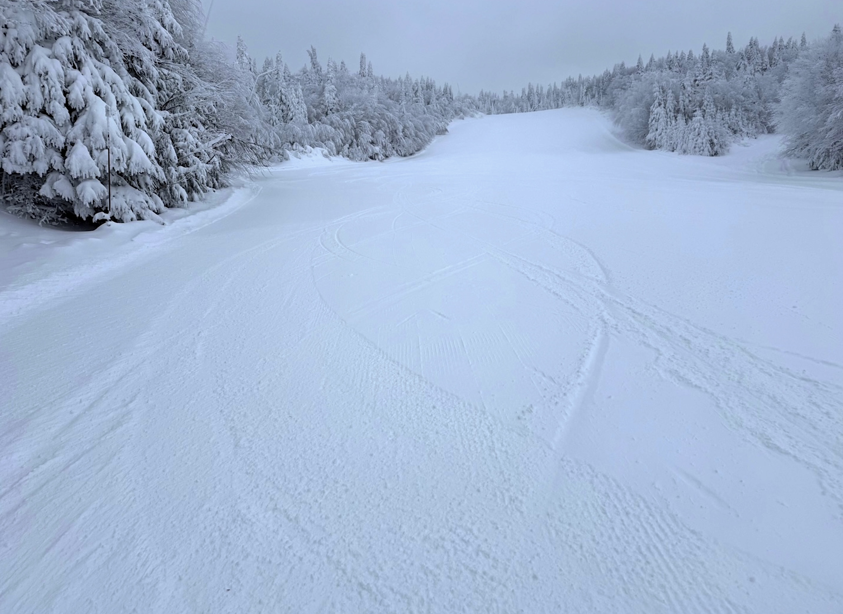 1.21.26.Sud.South.Nansen.Pitch.Front.Side.Corduroy.Heaven.c.jpg