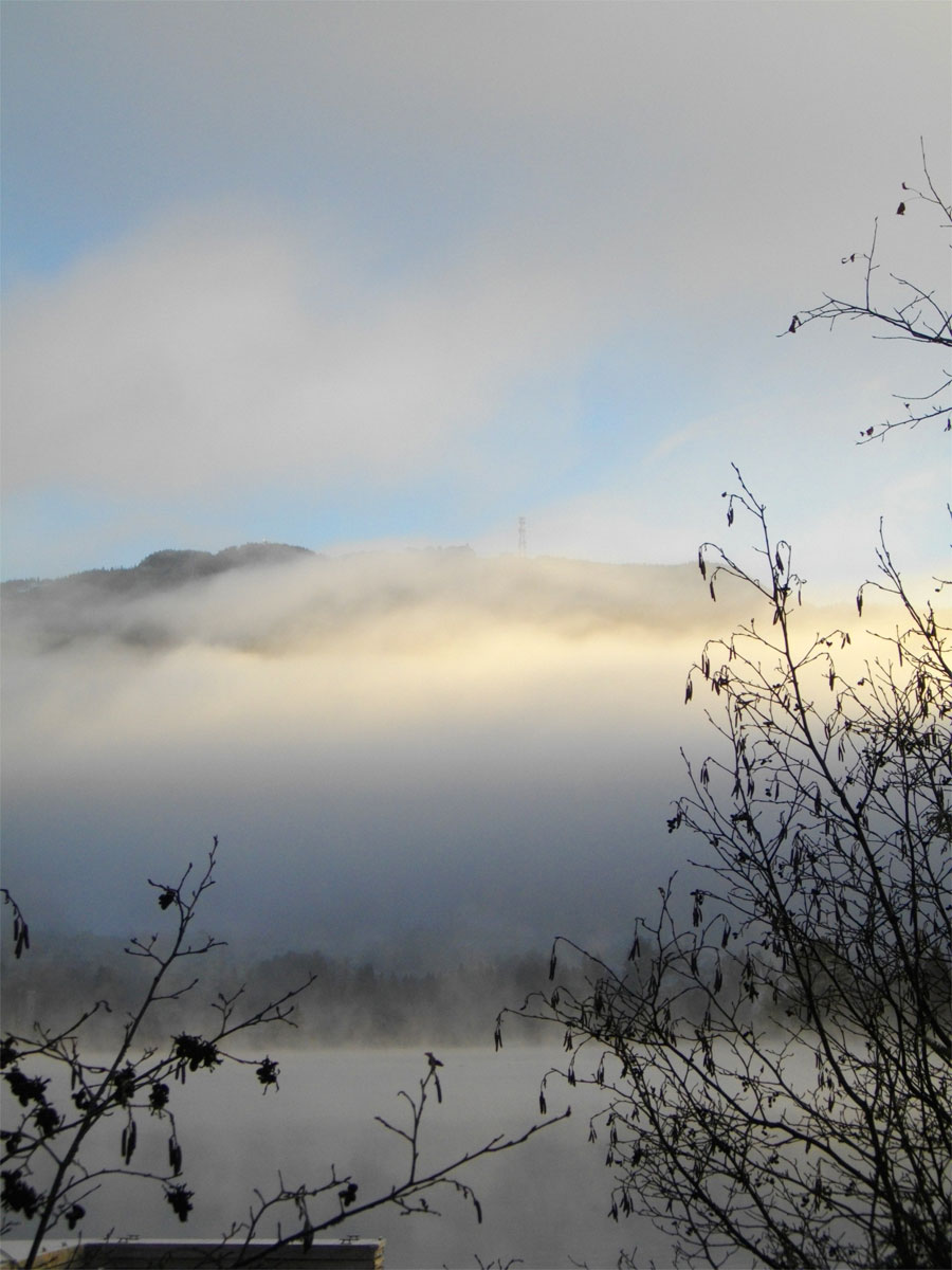 21-novembre-002_sm.jpg