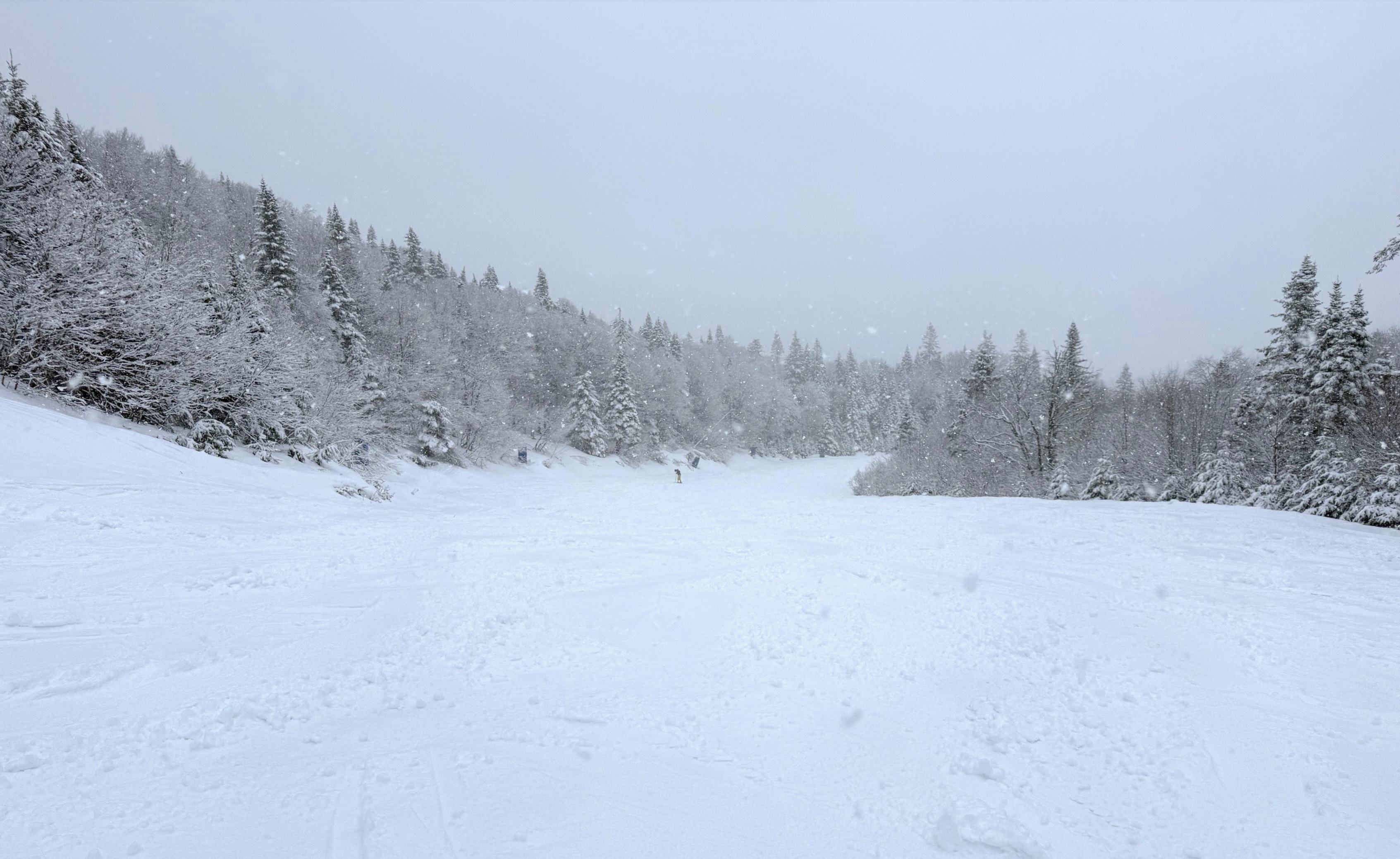 4.10.26.Nord.North.Ptit.Bonheur.Thick.Heavy Snowfall.d.jpg