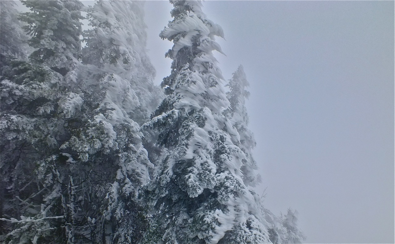 www.tremblant360.com Photo. All rights reserved.