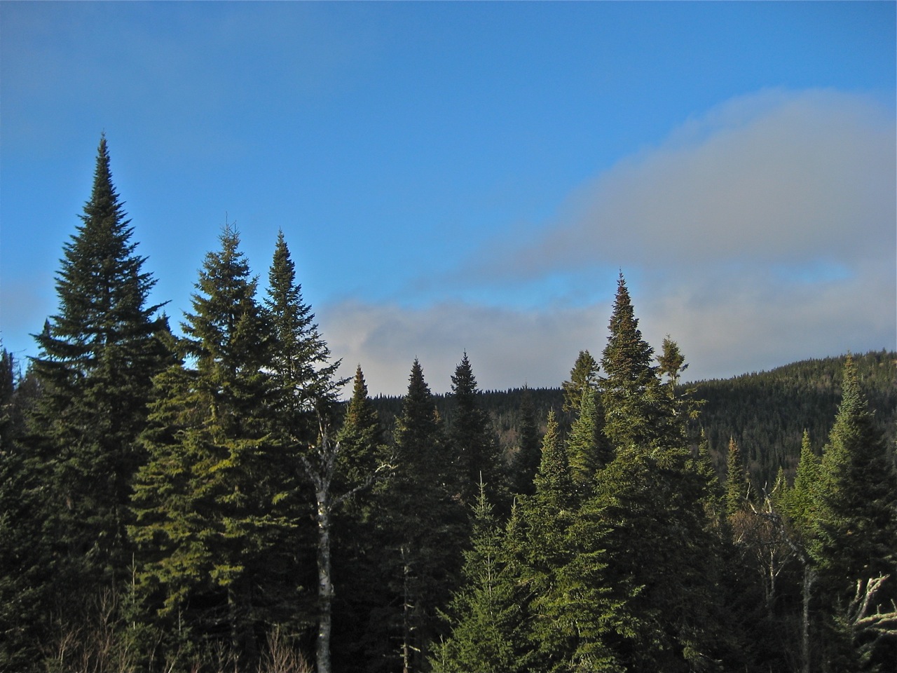 www.tremblant360.com Photo. All rights reserved.