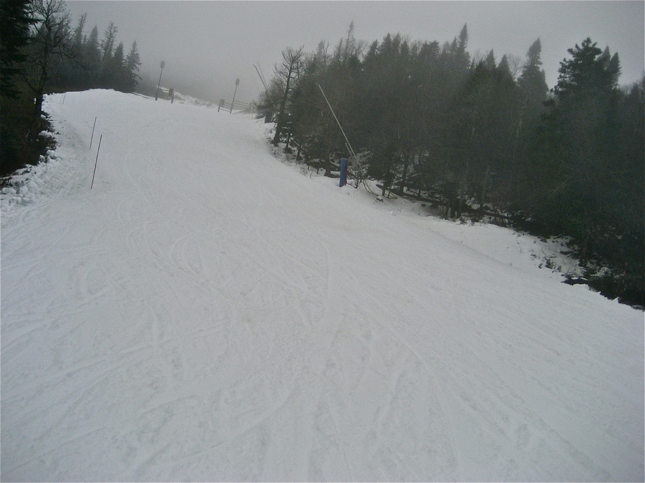 11.29.11.P'tit Bonheur.Fog.jpg