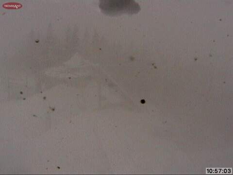 Web Cam Snap Shot Courtesy of www.tremblant.ca