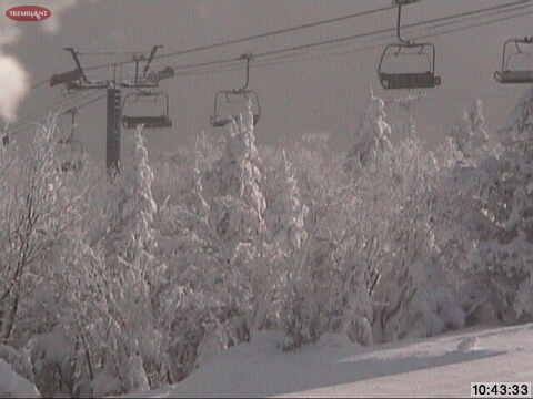Sun on the Mountain, Temps rising by the hour, Snow in the trees, Just Gorgeous!