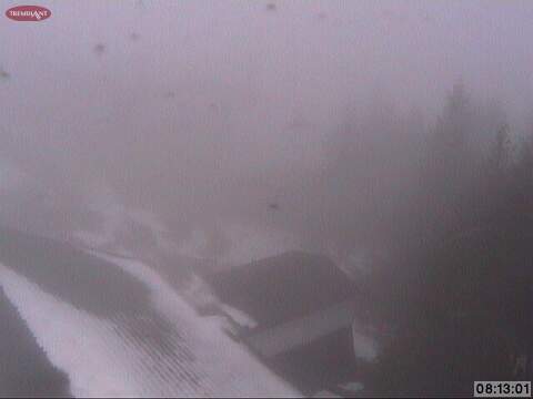 Web Cam Snap Shot, Courtesy of www.tremblant.ca
