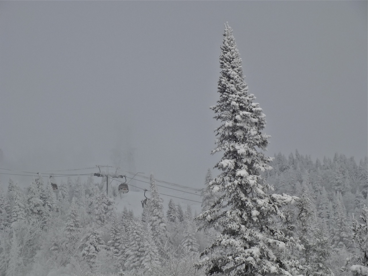 www.tremblant360.com Photo. All rights reserved.