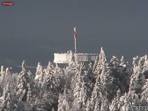 Web Cam Snap Shot Courtesy of www.tremblant.ca