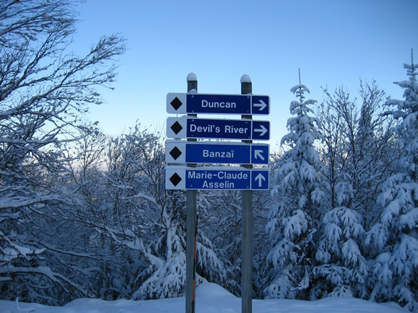Banzai will hold a lot of snow in these conditions