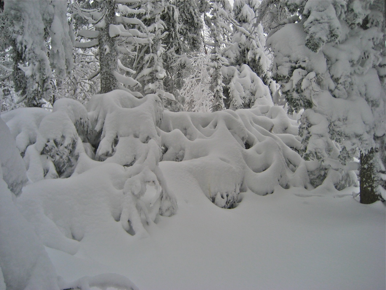 www.tremblant360.com Photo. All rights reserved.