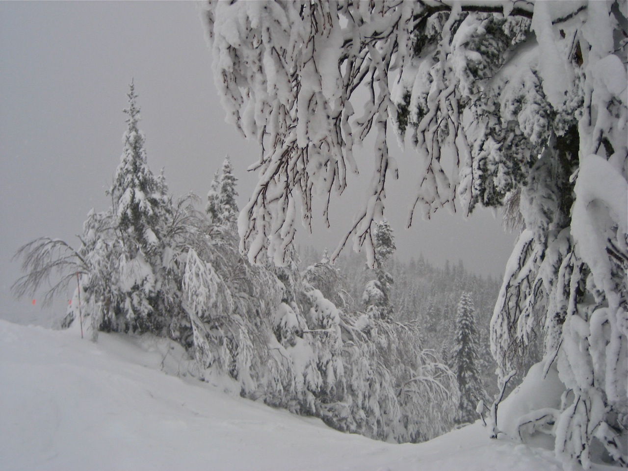 www.Tremblant360.com Photo. All rights reserved.