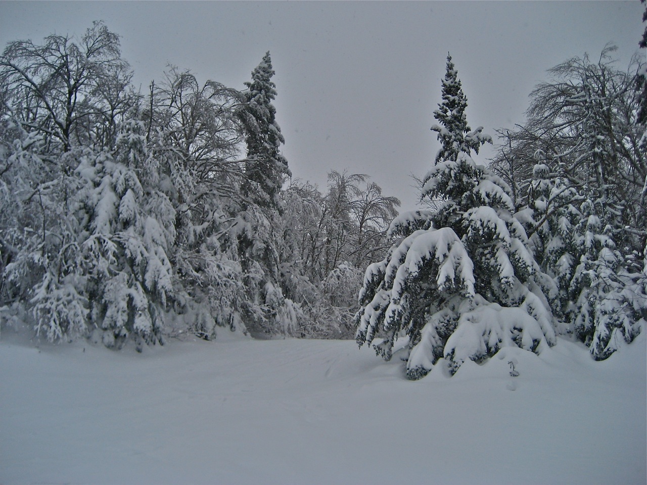 www.Tremblant360.com Photo. All rights reserved.