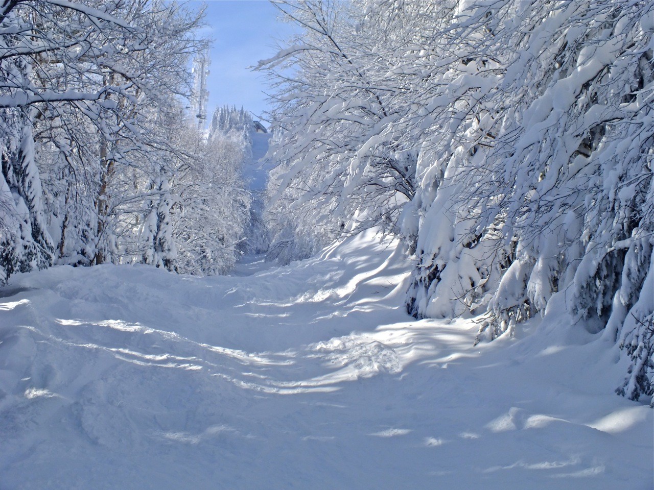 www.Tremblant360.com Photo. All rights reserved.