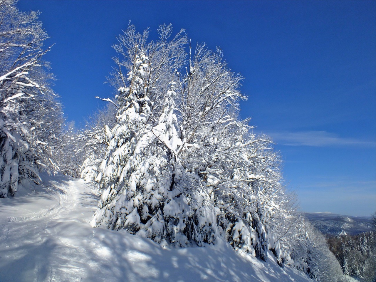 www.Tremblant360.com Photo. All rights reserved.