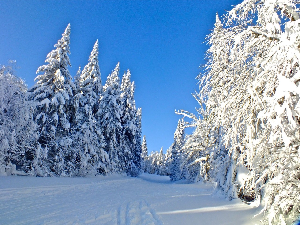 www.Tremblant360.com Photo. All rights reserved.
