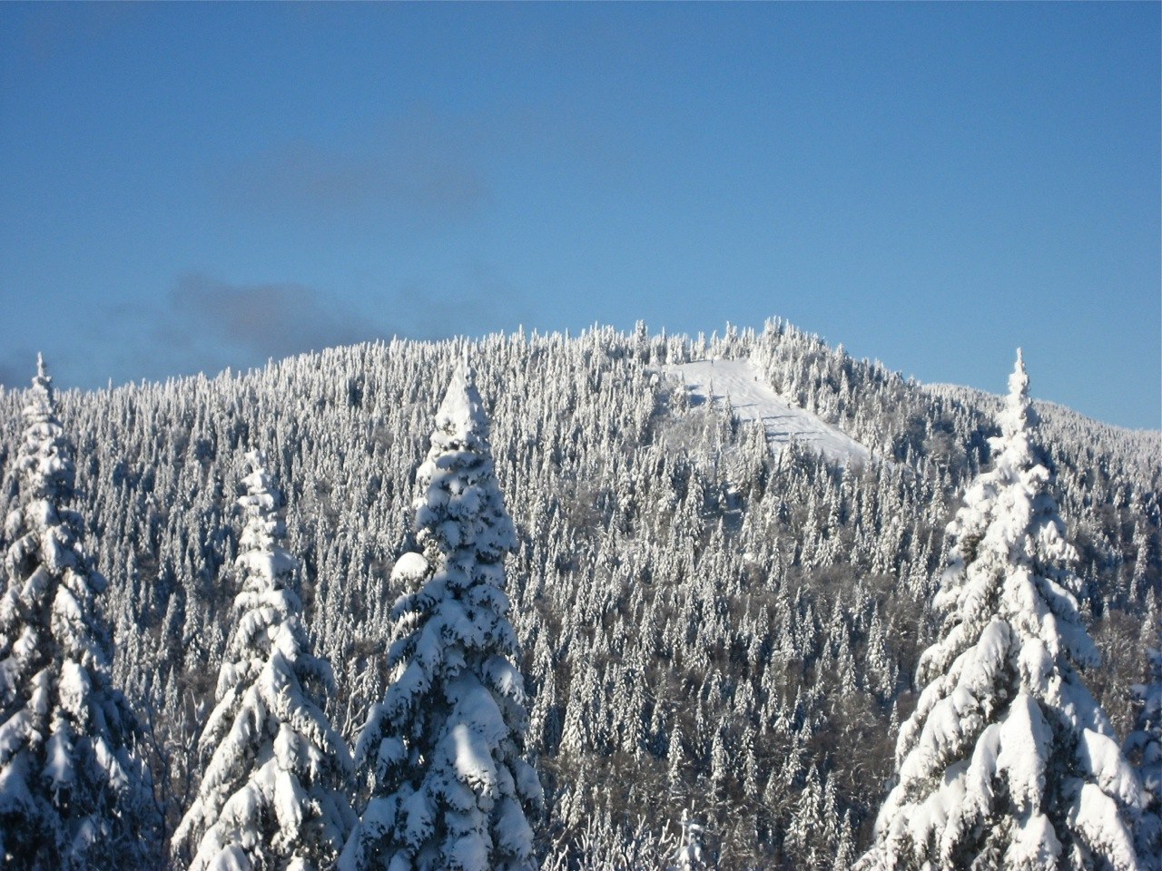 www.Tremblant360.com Photo. All rights reserved.
