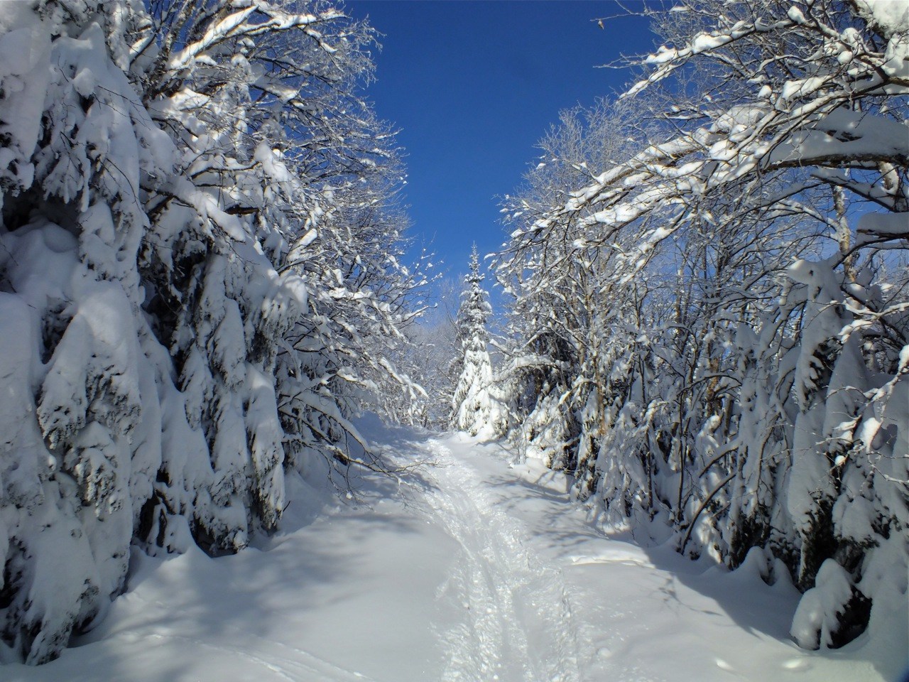 www.tremblant360.com photo. All rights reserved.