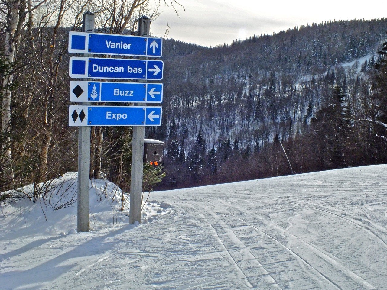 www.tremblant360.com Photo. All Rights Reserved.