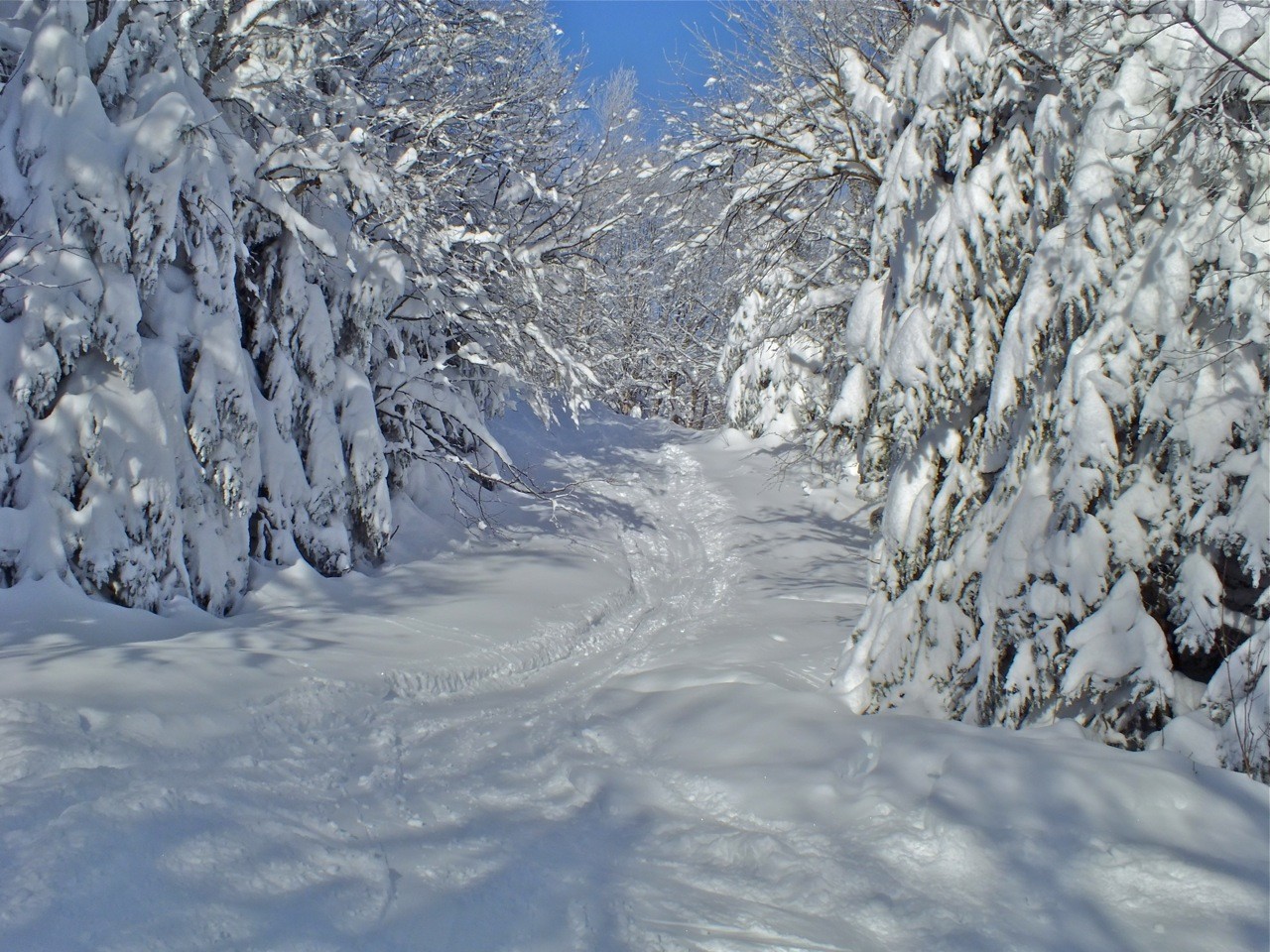www.tremblant360.com photo. All rights reserved.