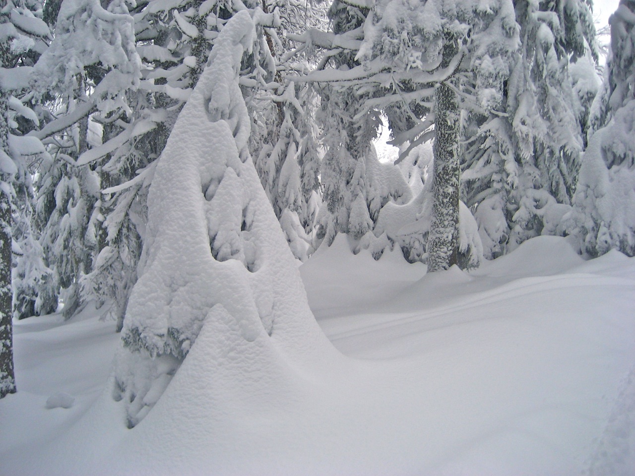 www.tremblant360.com photo. All rights reserved.