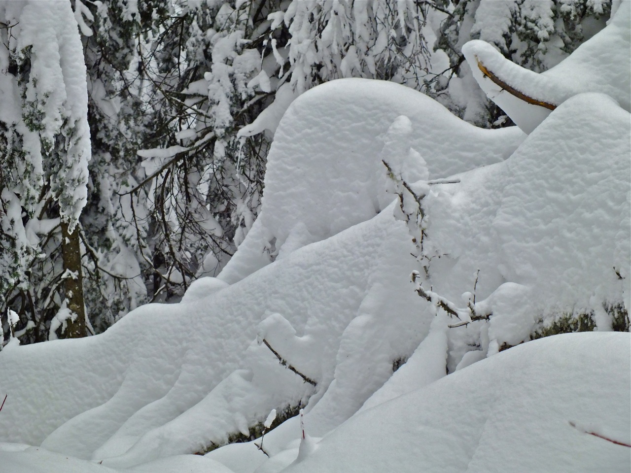 www.tremblant360.com photo. All rights reserved.