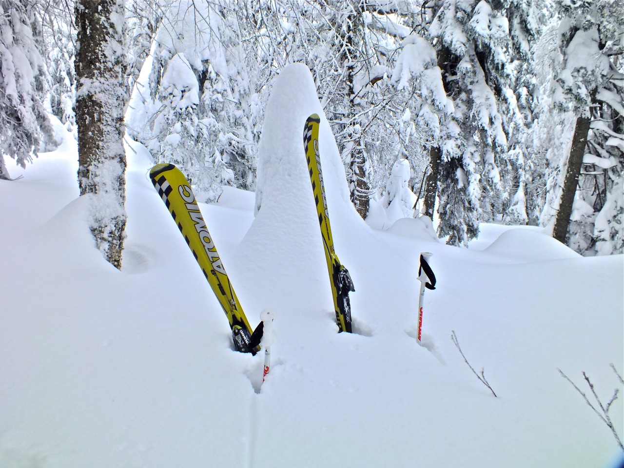 www.tremblant360.com photo. All rights reserved.