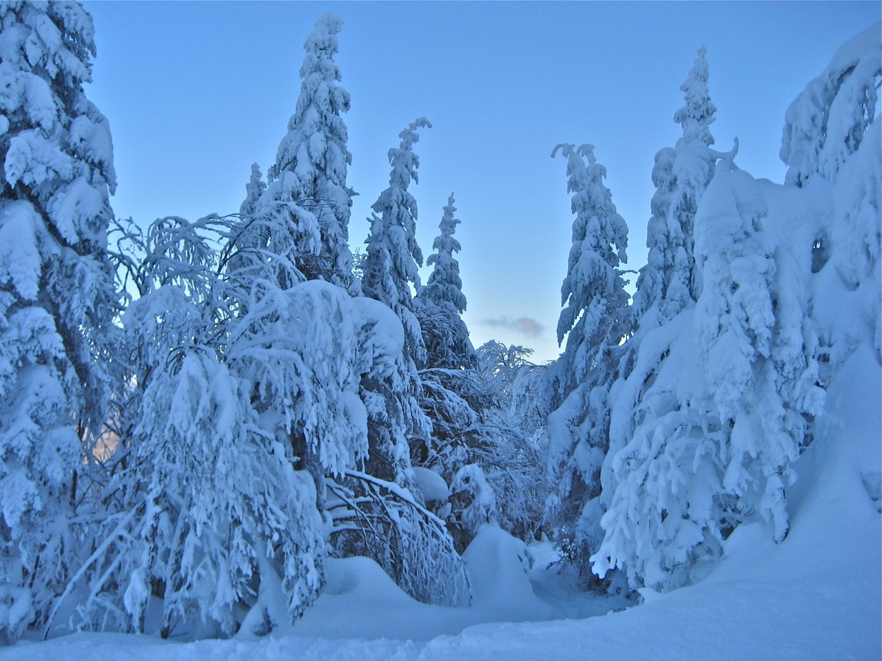 www.tremblant360.com photo. All rights reserved.