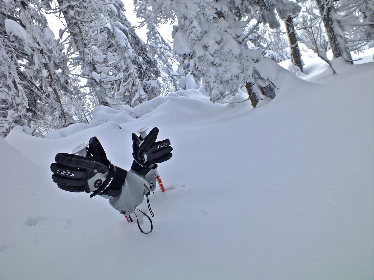 www.tremblant360.com photo. All rights reserved.