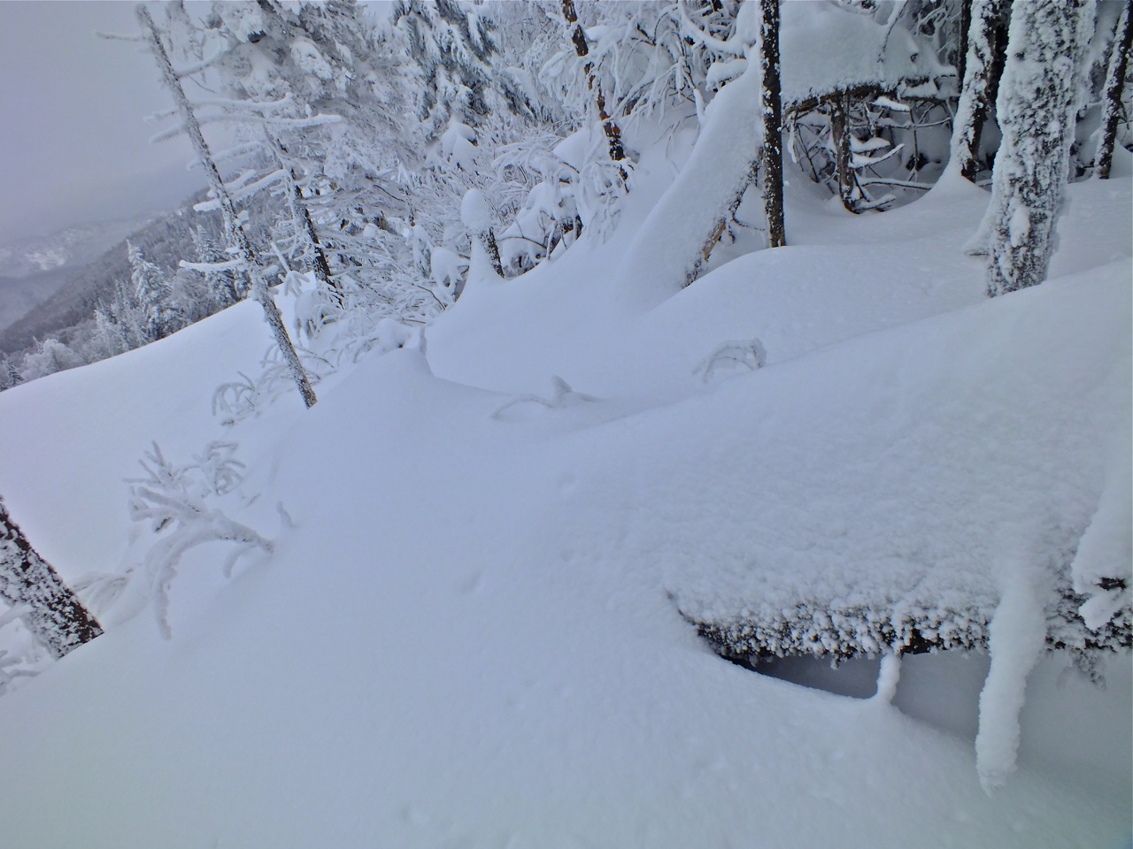 2.5.12.P'tit.Boneur.Trailside.Snow.jpg