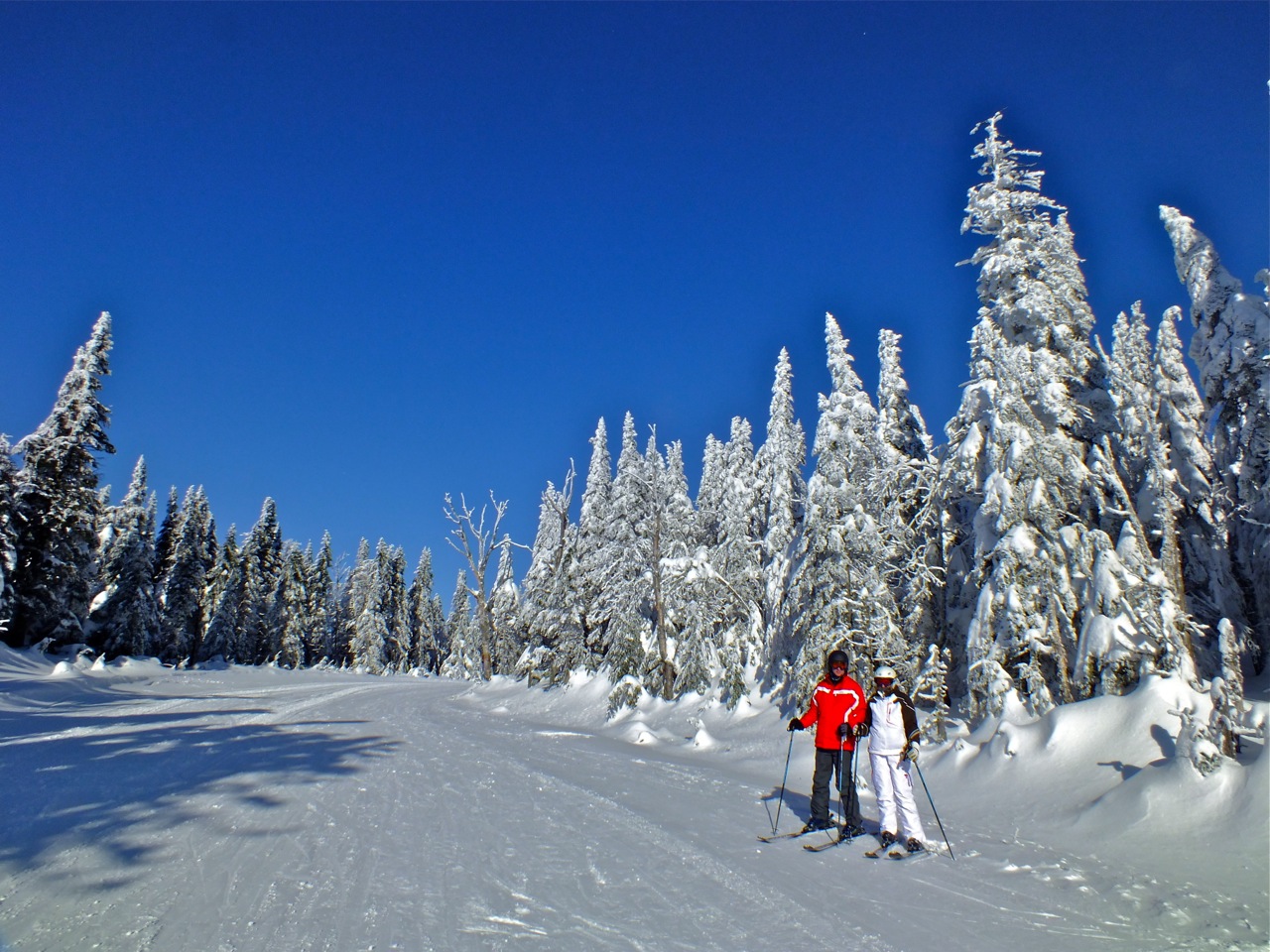 2.8.12.Normal.People.Abnormally.Beautiful.Scenery.T.#1.jpg