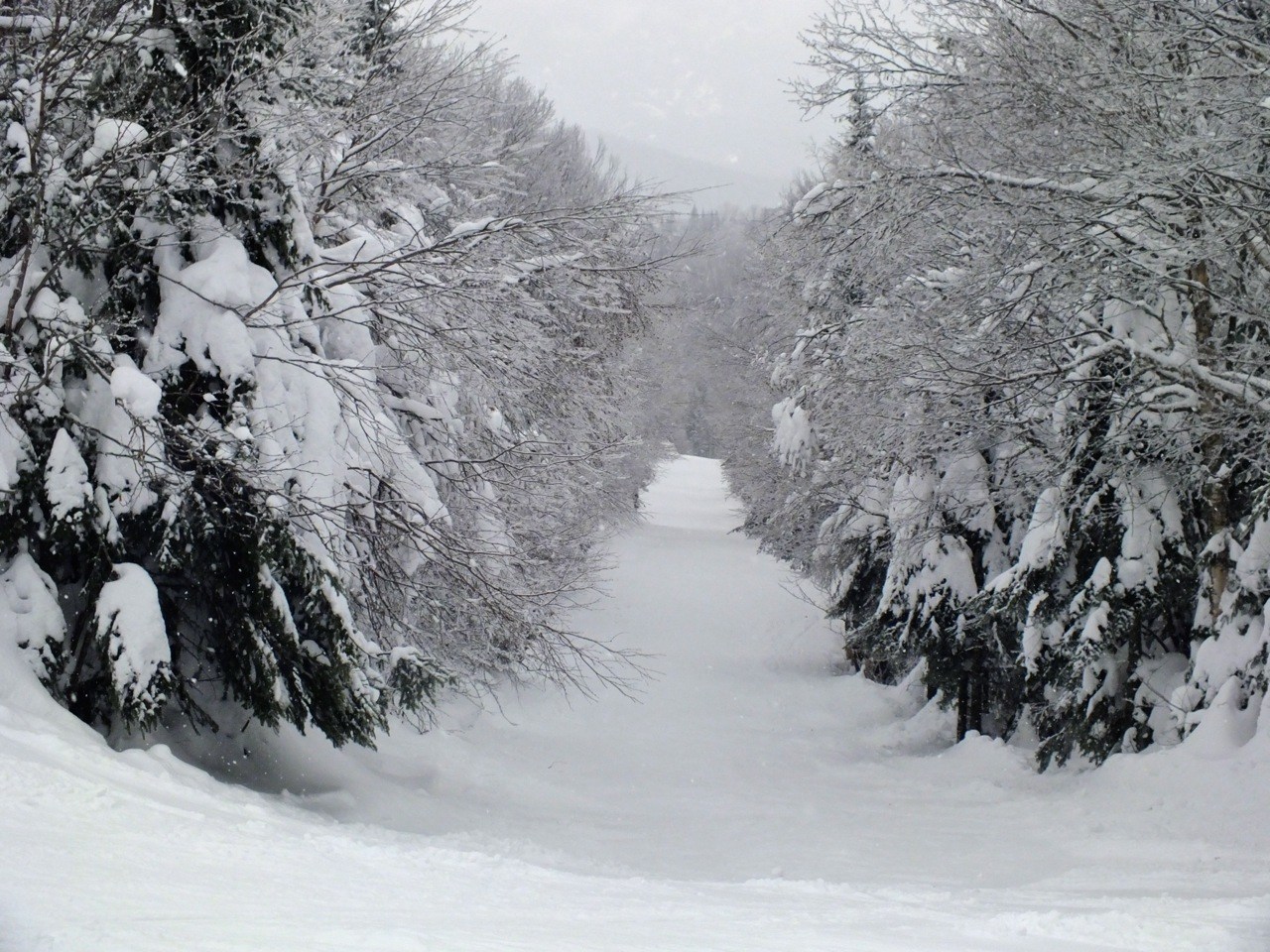 www.tremblant360.com photo. All rights reserved.