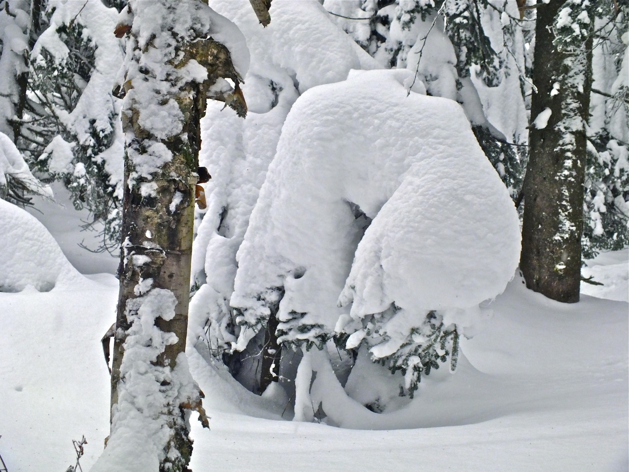 www.tremblant360.com photo. All rights reserved.
