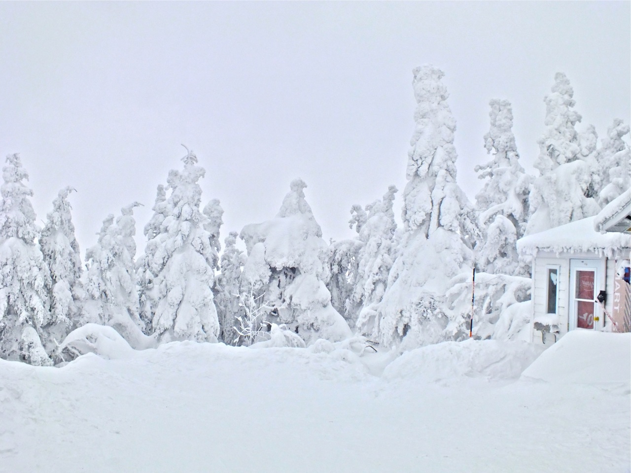www.tremblant360.com photo. All rights reserved.